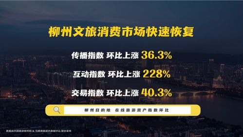 以智互聯看柳州 柳州市文化旅游互聯網推廣數據發布會成功舉辦 網絡文化經營展新姿